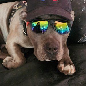 Meet your Posher, Jamie